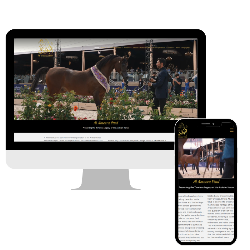 al ameera website portfolio